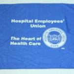Flag (including pole) 70620 $25.00